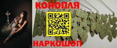 стафф Краснокаменск