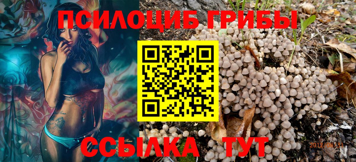 купить   Галлюциногенные грибы Psilocybe  Вход с VPN  Галлюциногенные грибы мухоморы  Верхняя Пышма 